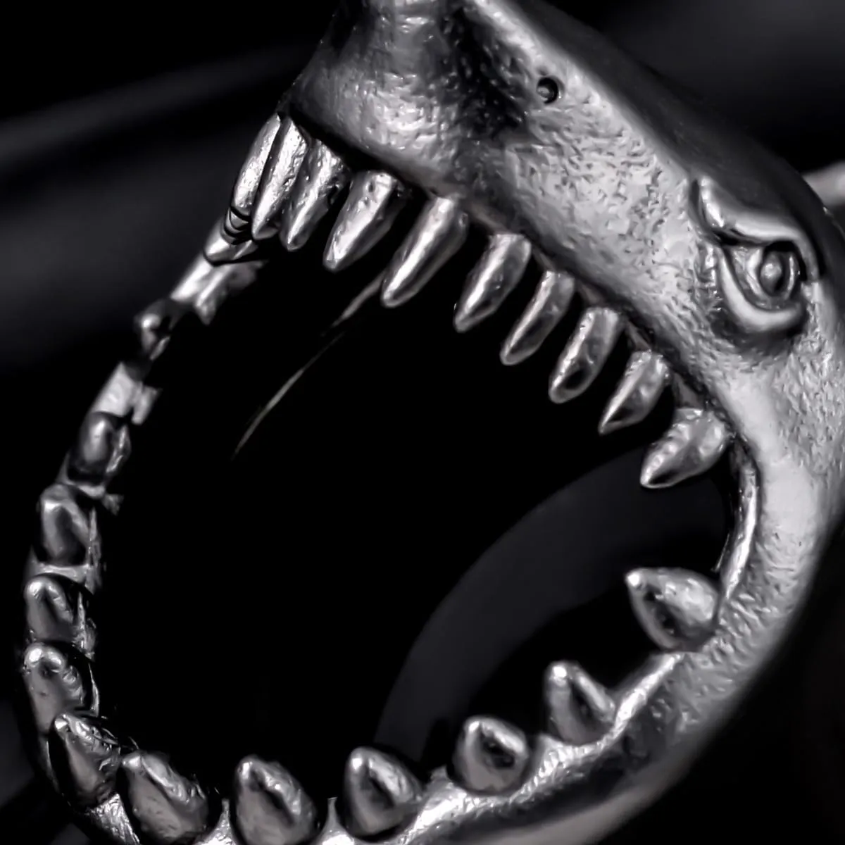 COOEAR Stainless Steel Tunnels, Shark design Earring Plugs, Screw Back Gauges for Ears.