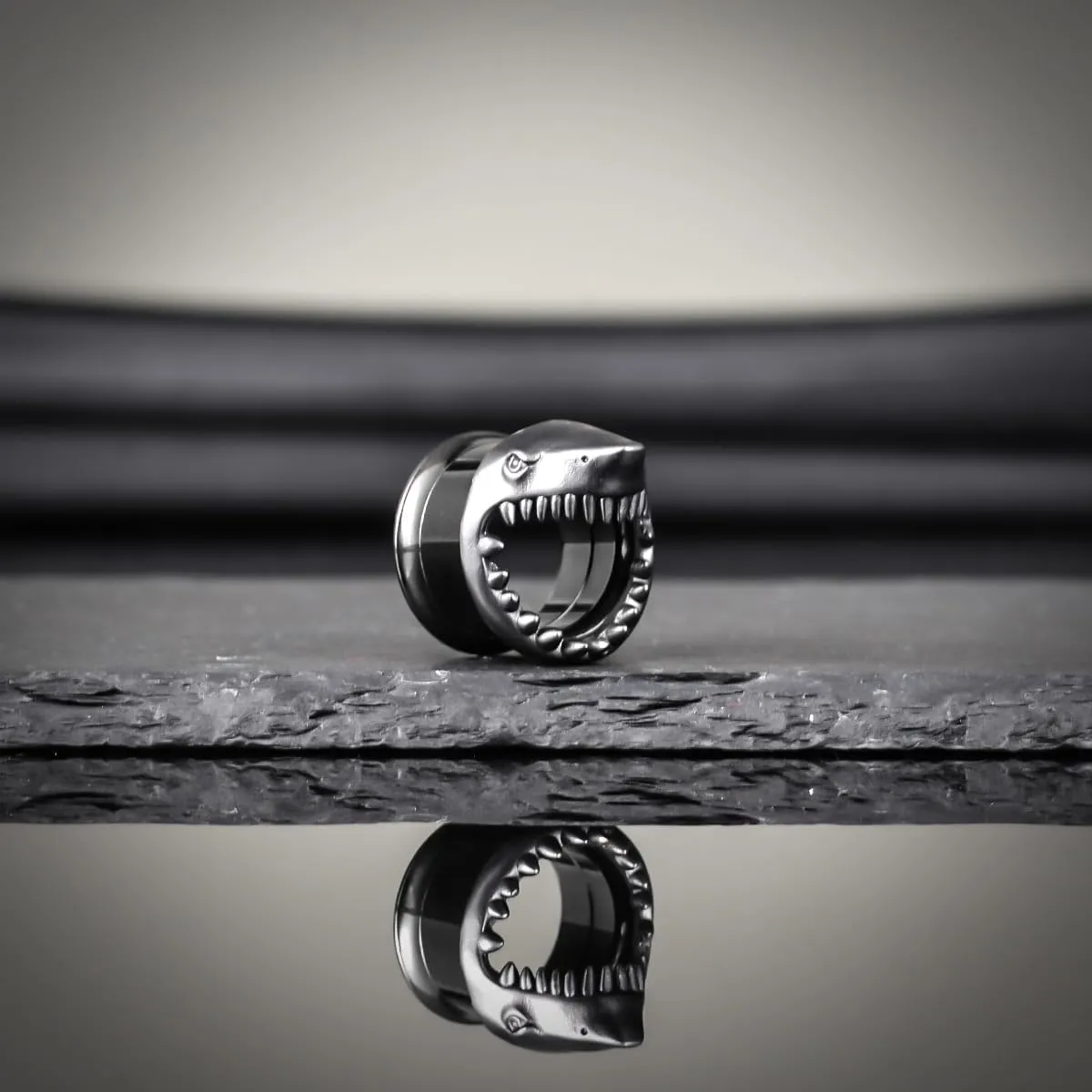 COOEAR Stainless Steel Tunnels, Shark design Earring Plugs, Screw Back Gauges for Ears.