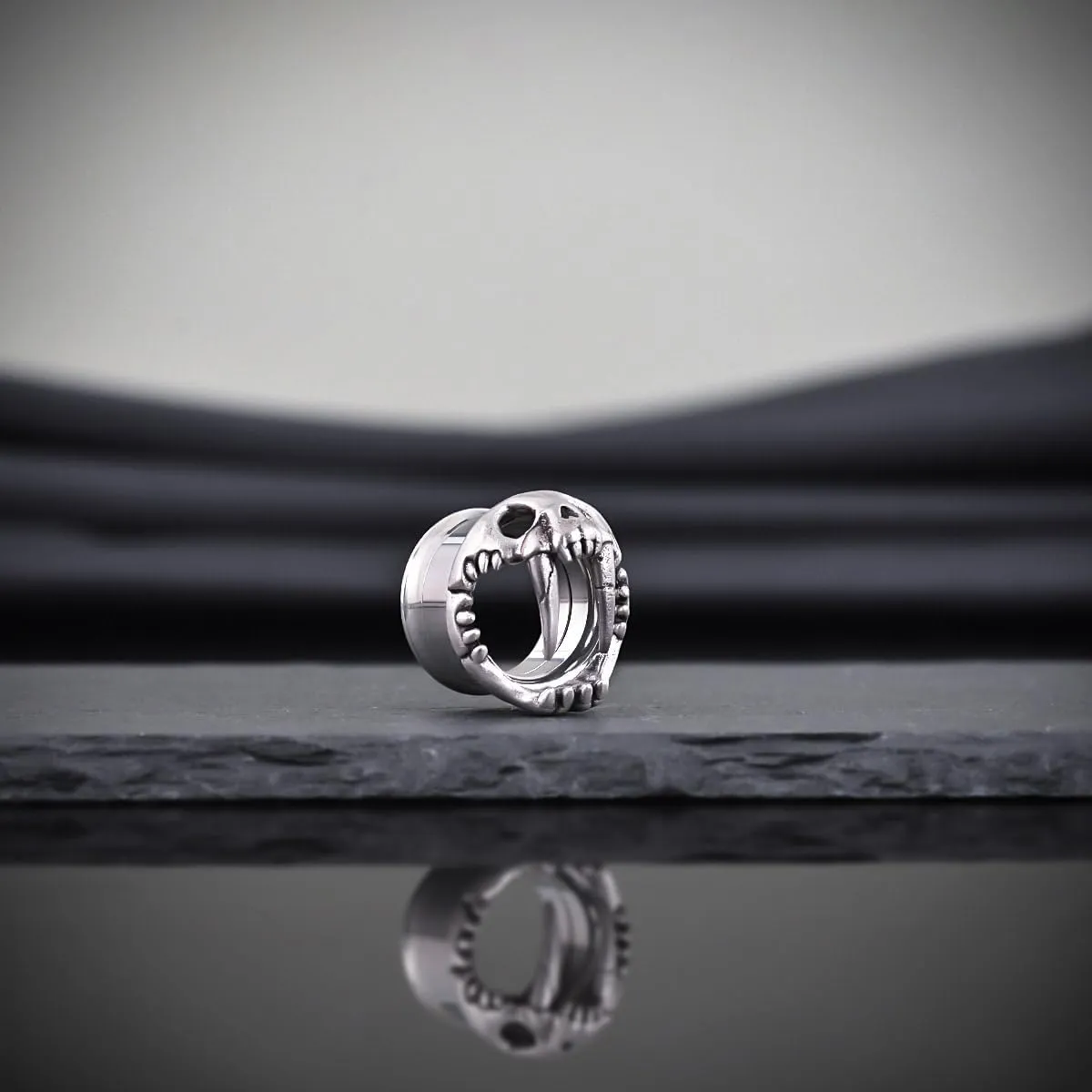 COOEAR Stainless Steel Tunnels, Shark design Earring Plugs, Screw Back Gauges for Ears.