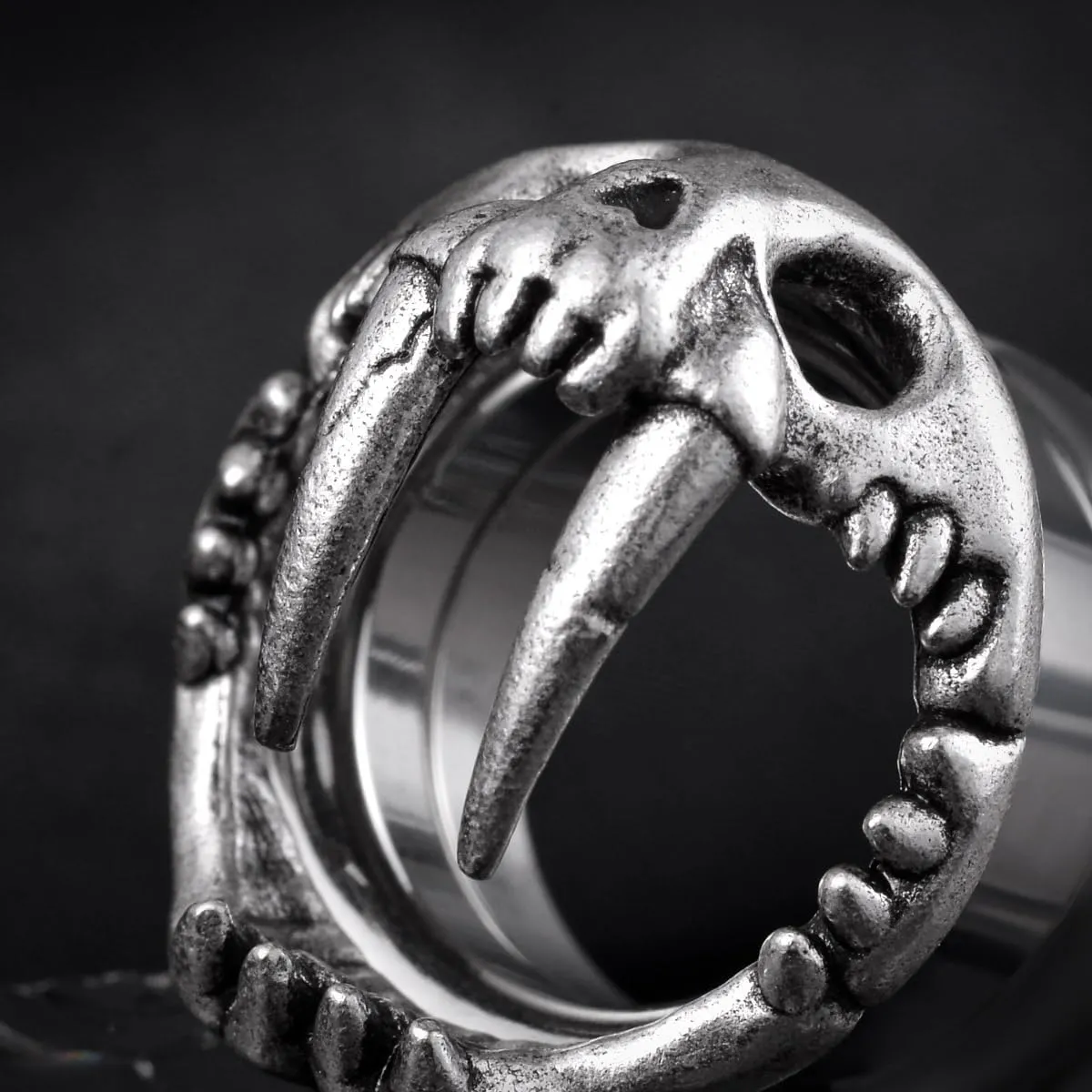 COOEAR Stainless Steel Tunnels, Shark design Earring Plugs, Screw Back Gauges for Ears.