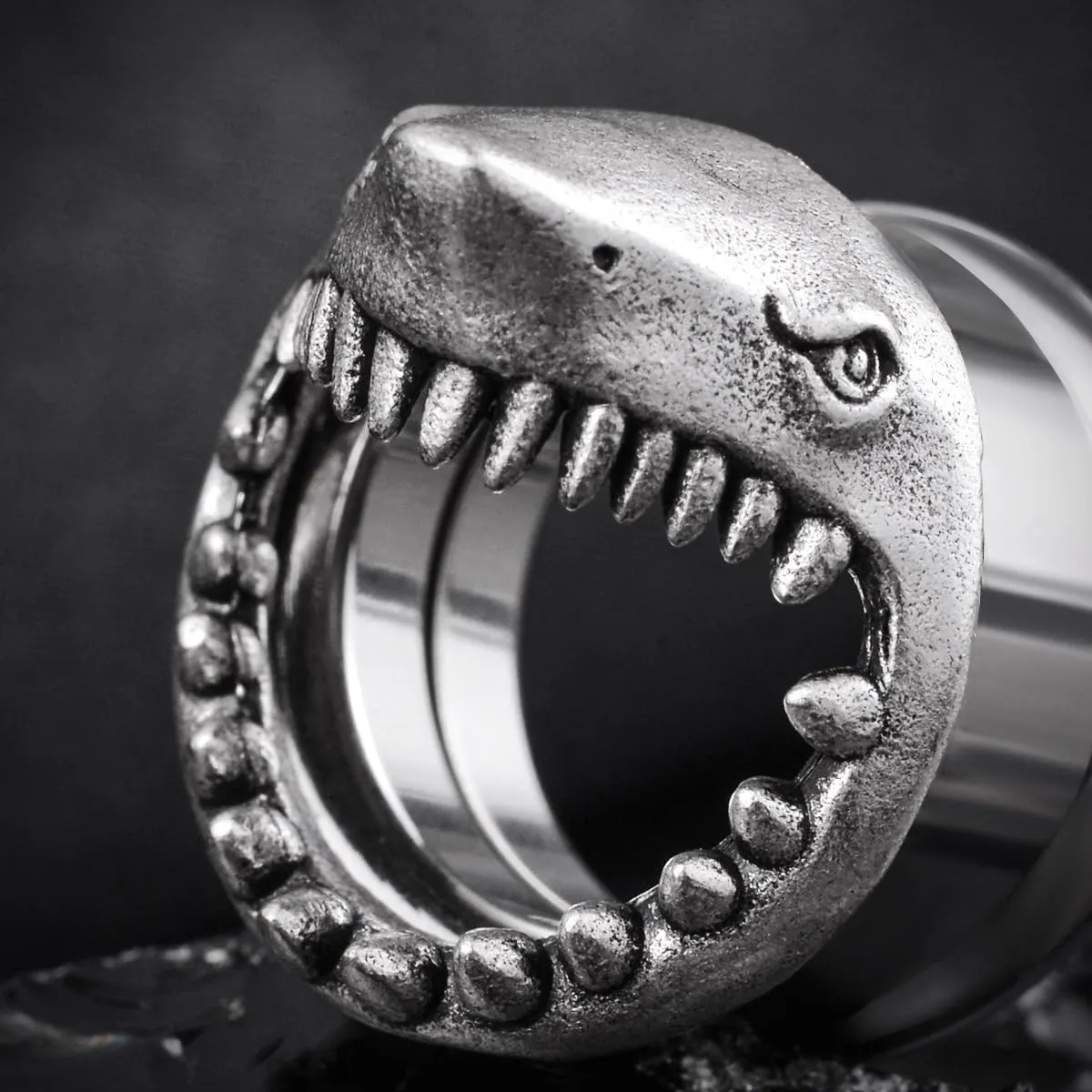 COOEAR Stainless Steel Tunnels, Shark design Earring Plugs, Screw Back Gauges for Ears.